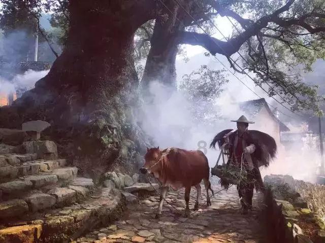 歌尽凡尘