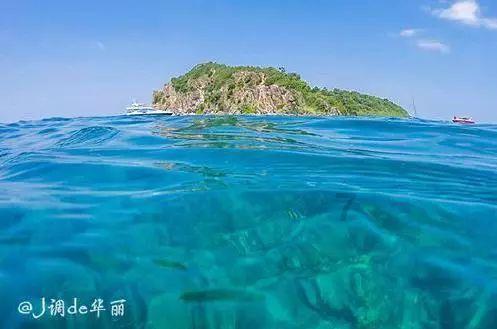 外高桥3涨停