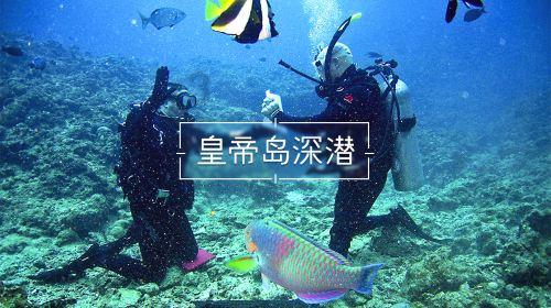 魔王支配
