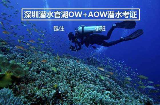 梁晓声背后的女人:没有她,就没有《人世间》