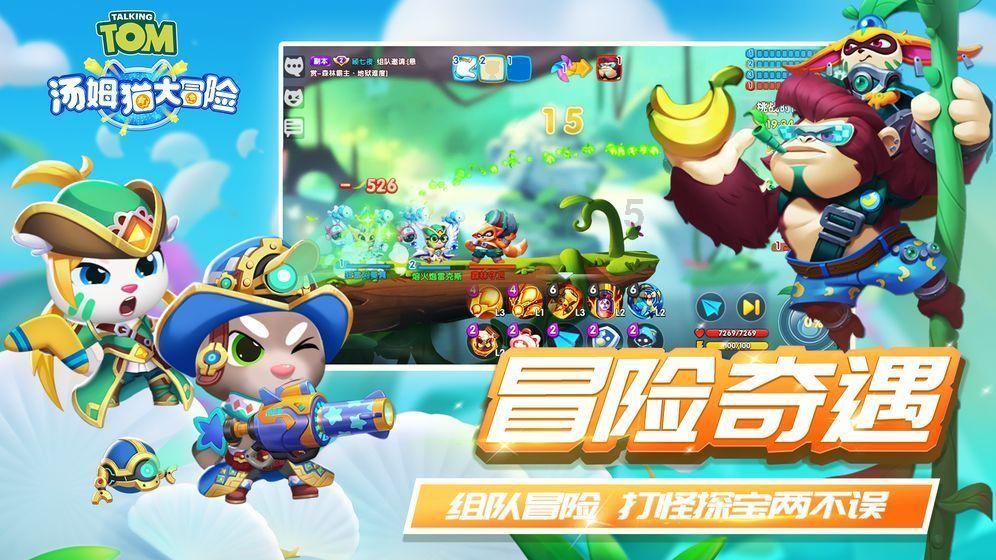 动物园将猫放置猴山灭鼠?关于“猴子虐猫”,昆明动物园刚刚最新回应