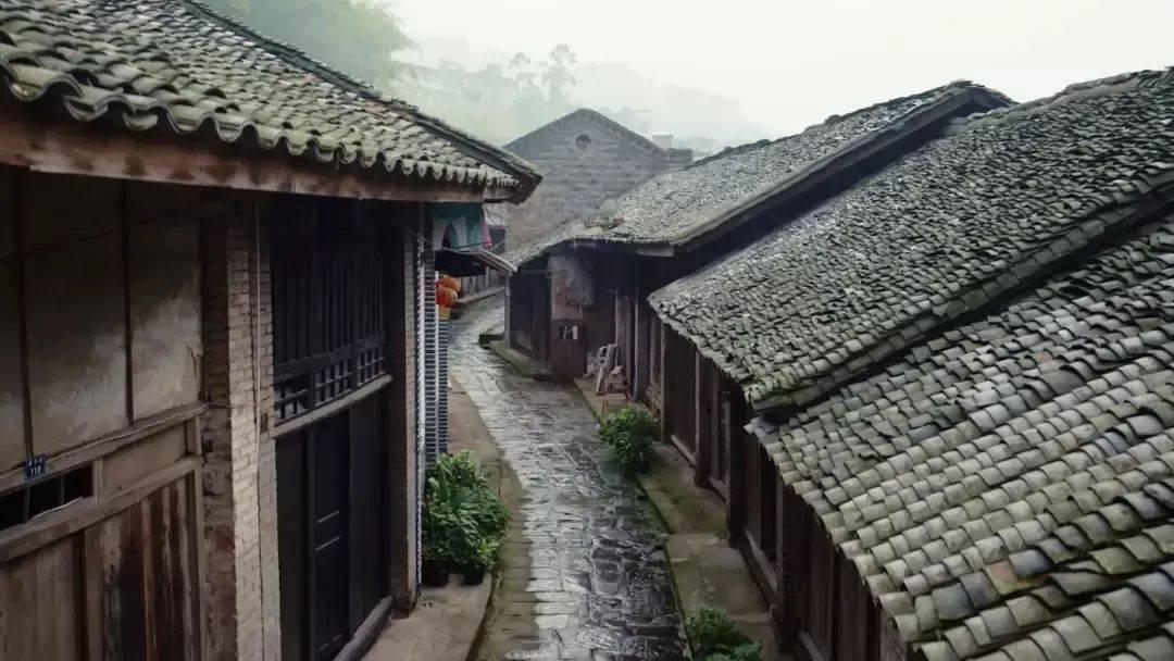香溢融通3涨停