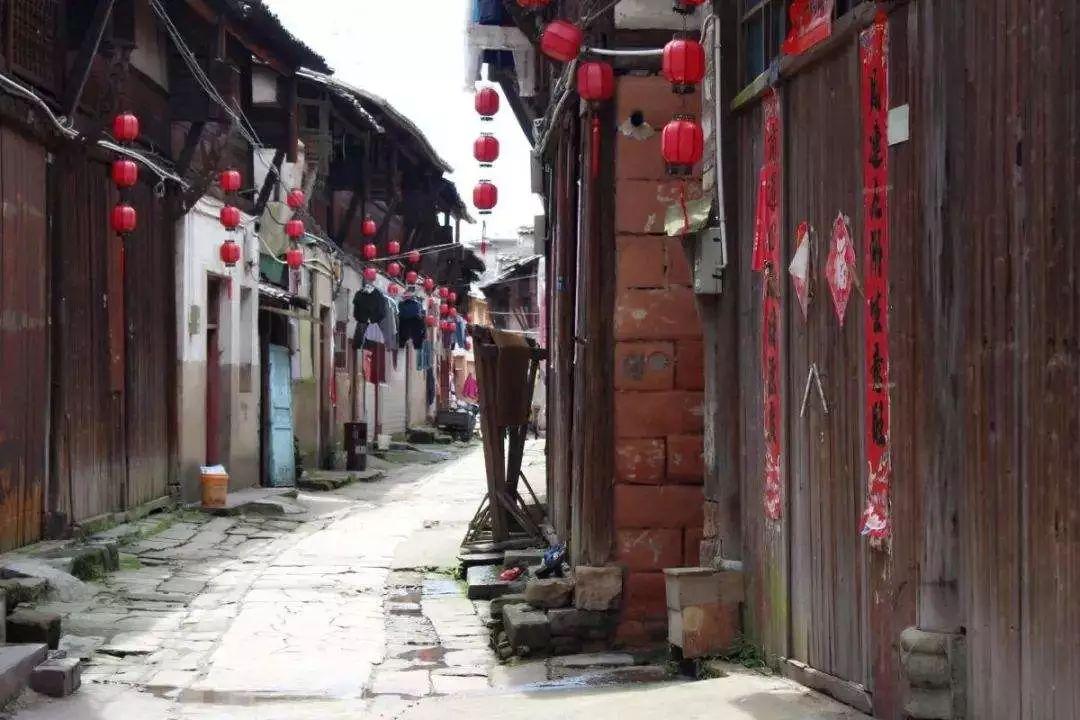 逗小猴开心系列197