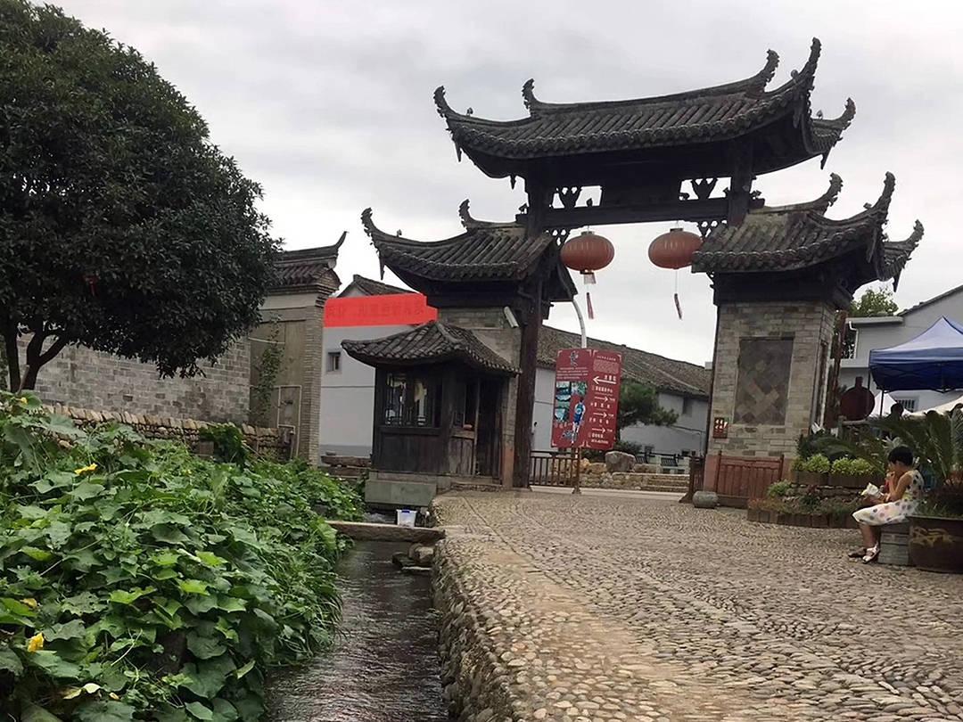 救援受困的火鸡
