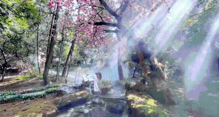 逃出漂亮花谷